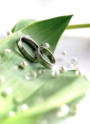 green weddings two wedding rings on a green leaf