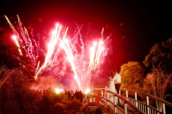 extra fx wedding fireworks