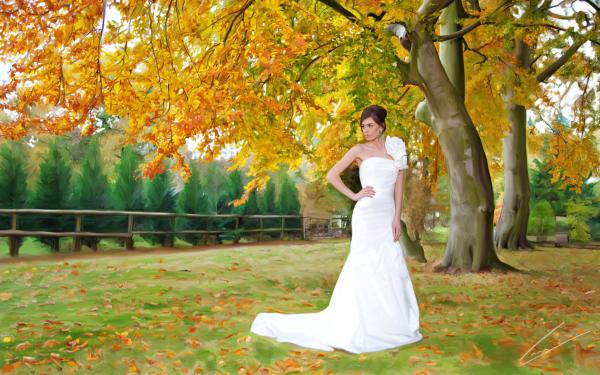 Alex Vann Photography Digital Painting