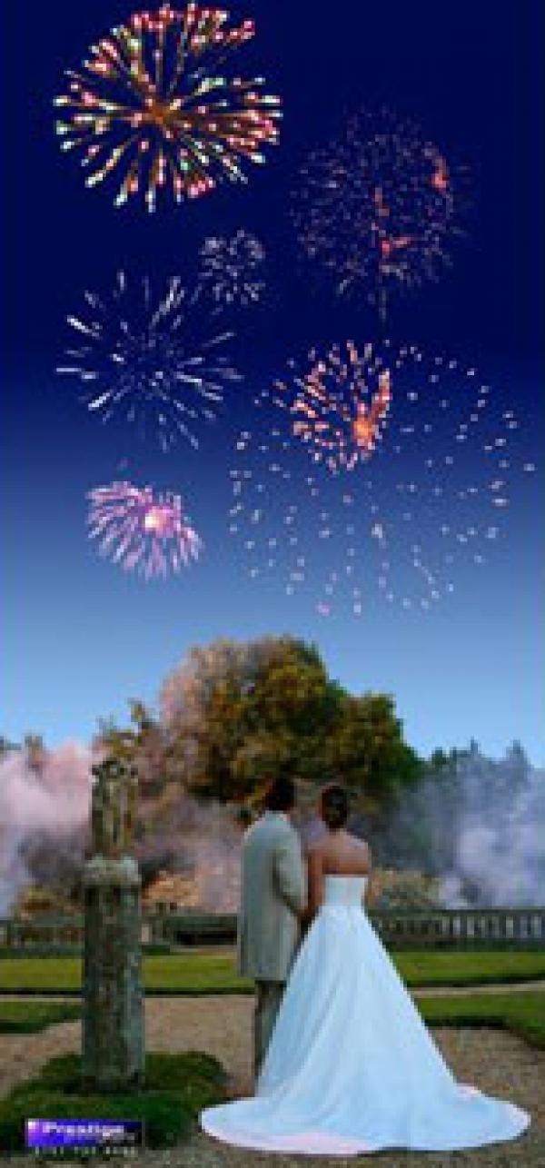 Visitor wedding image