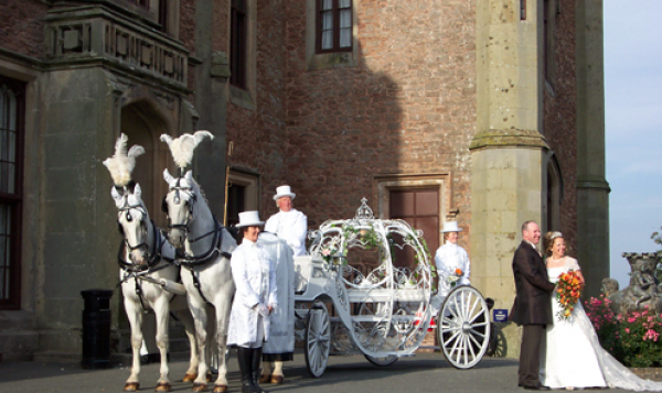 white wedding horses and carriage