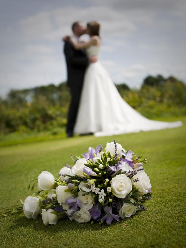 patshullpark wedding image