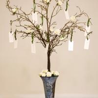 inclinationscards wishing tree hire