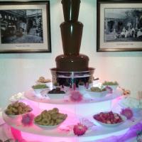 large chocolate fountain - pink scheme - wedding