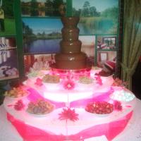 chocolate fountain - pink wedding scheme