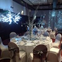 Winter wonderland theme for a magical themed wedding, starlight and twinkles, willow and snowflakes