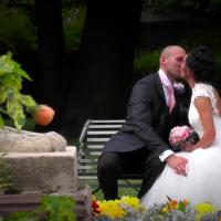 Wedding Lichfield