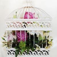Bird cage front view