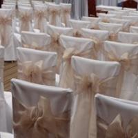 bemybaby wedding image
