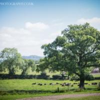 Bordesley Park Wedding Venue West Midlands