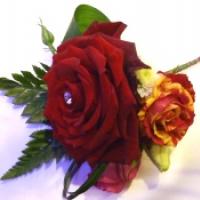 Groom BH Red&Gold