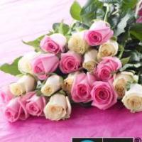 fairtrade pink and white roses