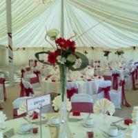 wedding Marquee at Aston Wood