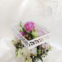 Open Bird cage