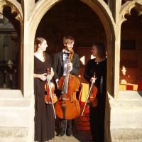 wedding string trio