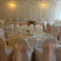 Chair covers & Starlight Backdrop Hire