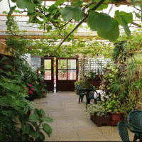 the garden room adjacent to the function room 