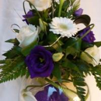 Fish Bowl Vanda