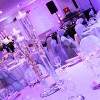 Reception Decorations