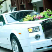 Rolls Royce Ghost Chauffeur