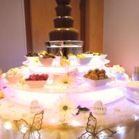 chocolate fountain - gold butterfly themed wedding