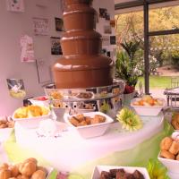 chocolate fountain - green 70th birthday party
