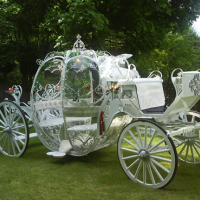 white wedding carriage