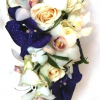 Tear drop Vanda