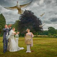 Wedding photographers Cardiff