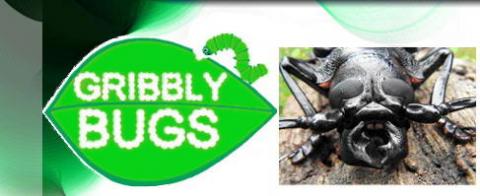 gribblybugs logo