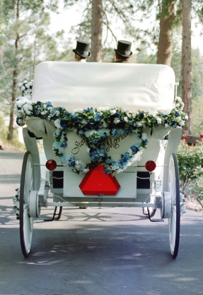 wedding horse and carriage